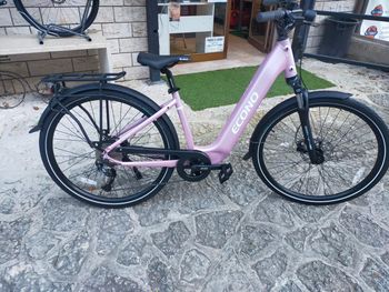 Used Econo Econo Apes 520 Wh 2026 VTT