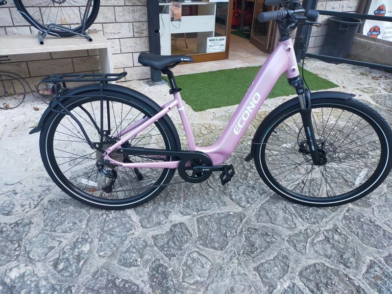 Econo Apes 520 Wh 2026 Mountainbike d'occasion — image 1 sur 11