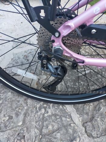 Used Econo Econo Apes 520 Wh 2026 Mountainbike — image 3 of 11