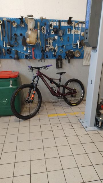 Gebrauchtes Orbea RALLON M20 2023 2023 Mountainbike, Violett, 29 — Bild 4 von 24