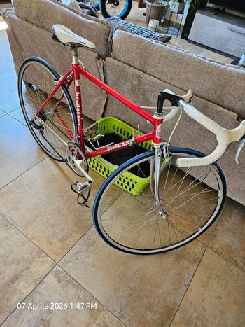 bevilacqua, Bevilacqua Custom Shimano Exage