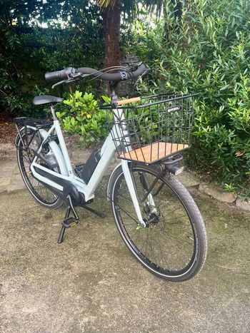 Gazelle, Bloom C7 Low-Step 2025