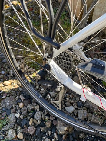 Used Stevens Jazz Shimano Alivio 2016 Urban, Bianco — image 21 of 34
