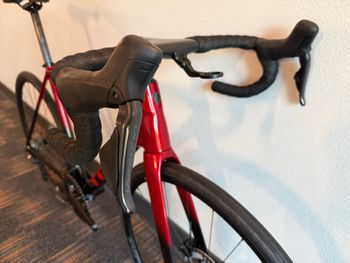 Used Trek Emonda ALR 7 2025 2025 Road & Gravel, Red — image 2 of 8