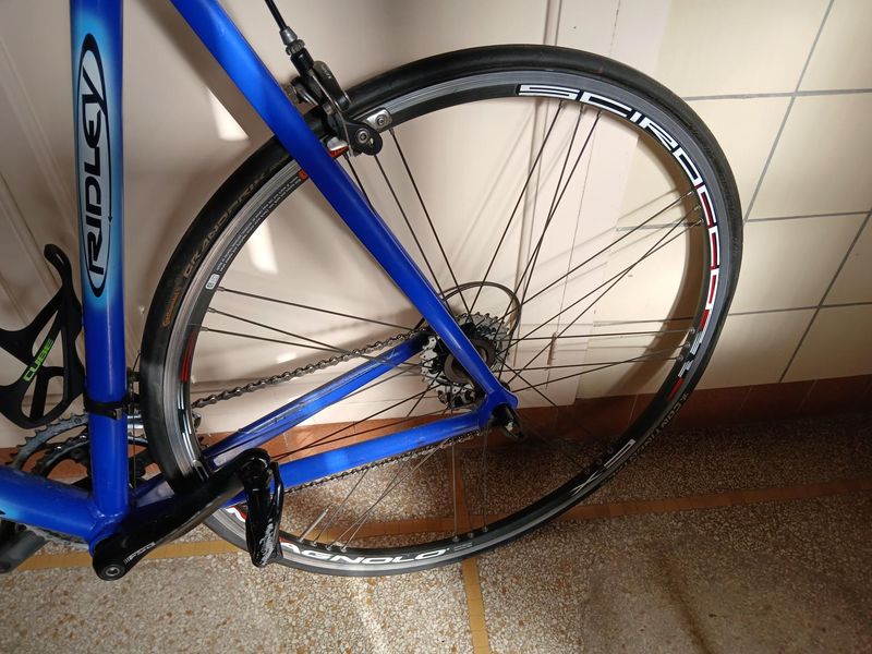 Used Ridley Geryon 2005 Road & Gravel, Blue — image 3 of 9