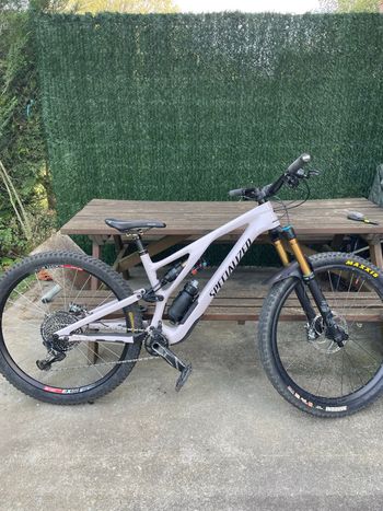 Specialized, Stumpjumper EVO Comp 2021 Frameset