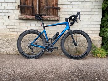Rose, Rose Reveal 04 Carbon