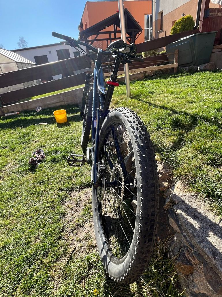 Used Cannondale Scalpel 4 2025 2025 Mountainbike, Black, 29 — image 10 of 17