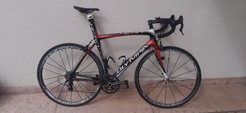 Used Olympia Evo Campagnolo Chorus 2013 Road & Gravel