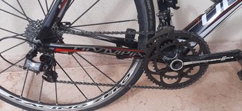 Used Olympia Evo Campagnolo Chorus 2013 Road & Gravel, Black — image 3 of 4