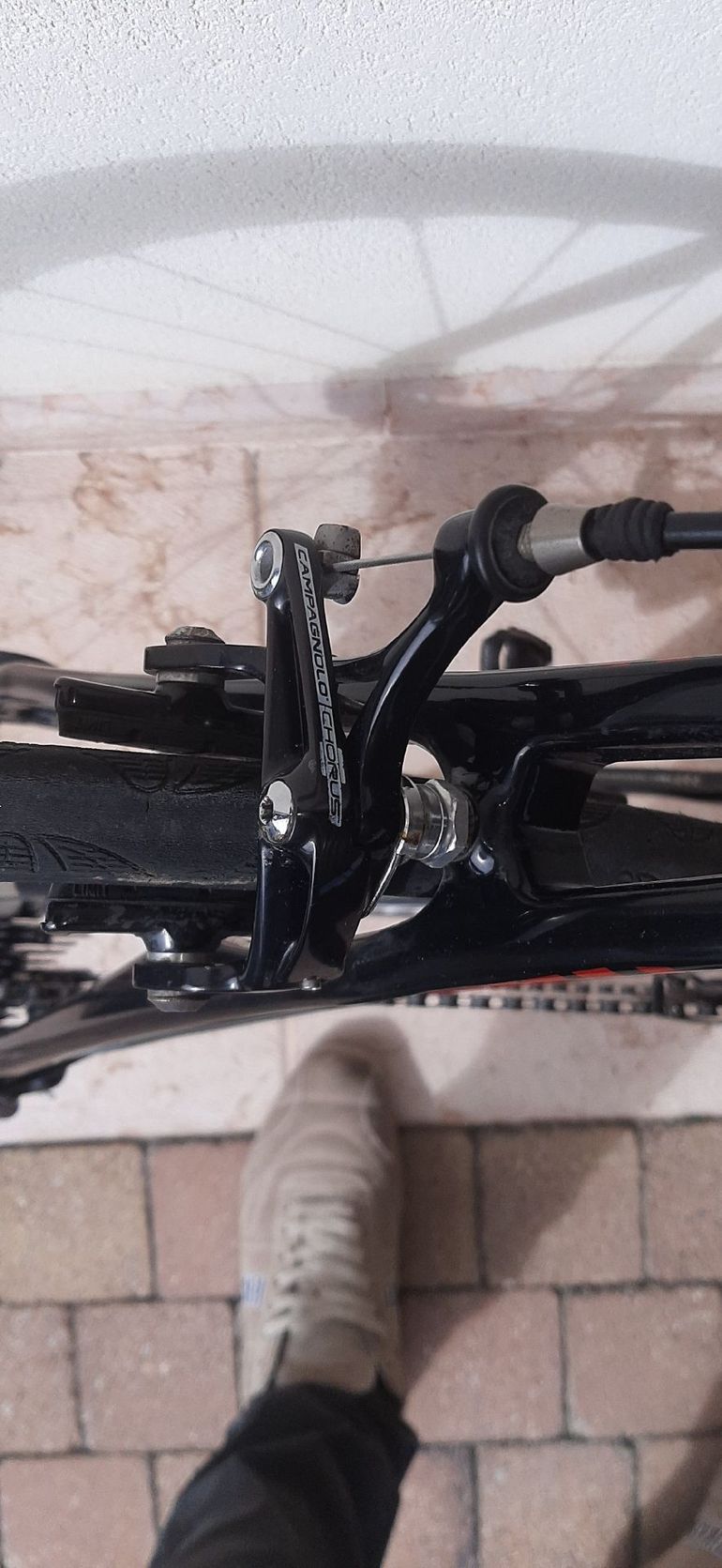 Used Olympia Evo Campagnolo Chorus 2013 Road & Gravel, Black — image 4 of 4