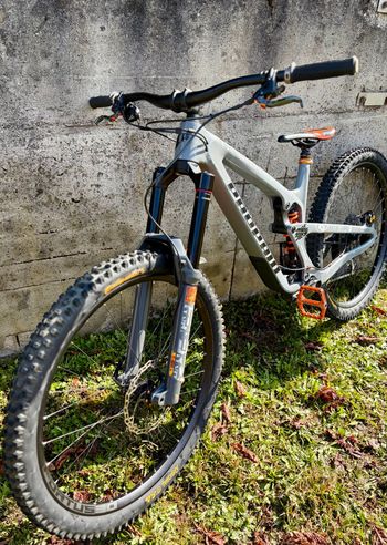 Used Propain SPINDRIFT 4 CF 29 Performance 2024 2024 Mountainbike, Light Gray, 29 — image 3 of 8