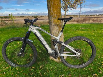 BiXS, SAUVAGE-E15 2023