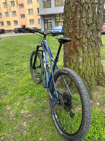 GT, Zaskar LT Elite 2025