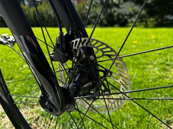 Used Pinarello DOGMA F12 SUPER RECORD EPS Disc 2022 2022 Road & Gravel — image 8 of 24