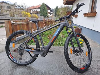 Genesis, Genesis E Pro 2.2 29 Zoll