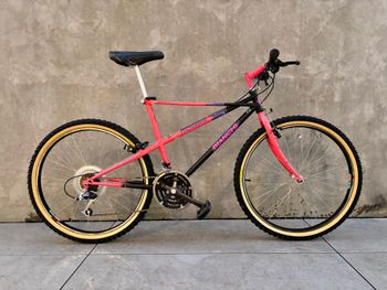 Used Bianchi Bianchi Ragno Thomisus 1990 MTB