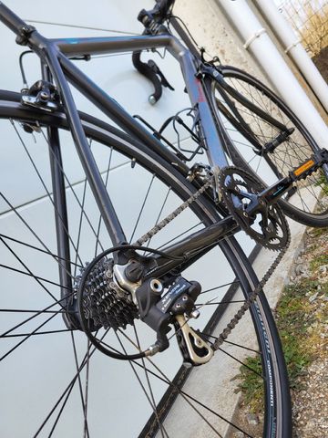 Used Bianchi Custom Campagnolo Xenon 2010 Road & Gravel, Light Gray — image 3 of 4