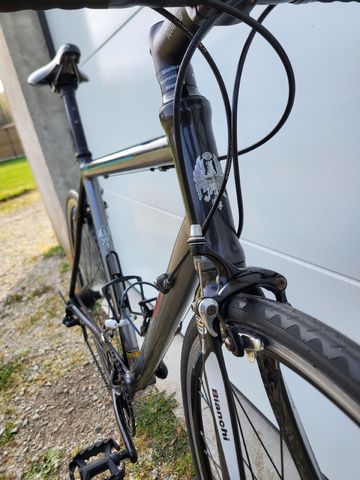 Used Bianchi Custom Campagnolo Xenon 2010 Road & Gravel, Light Gray — image 4 of 4