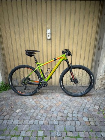 Bergamont, Revox Carbon 29