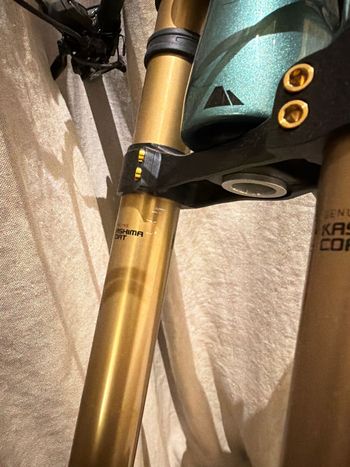 Used Canyon Sender CFR Mullet 2024 2024 Mountainbike, Green, Mixed — image 16 of 22
