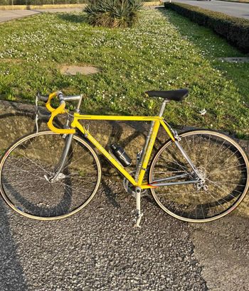 Pinarello, Pista Shimano Exage