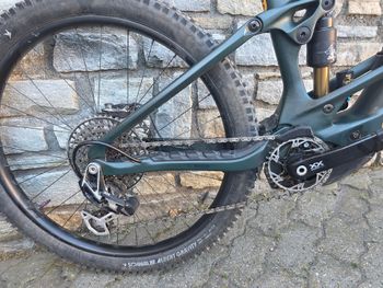 Used Orbea WILD M-LTD 2025 2025 Mountainbike, Green, 29 — image 3 of 9