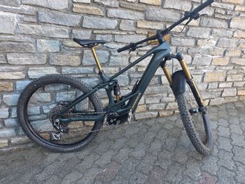 Käytetty Orbea WILD M-LTD 2025 2025 MTB