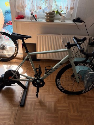 Used Canyon Endurace 7 RAW 2024 2024 Road & Gravel, Light Gray — image 1 of 8
