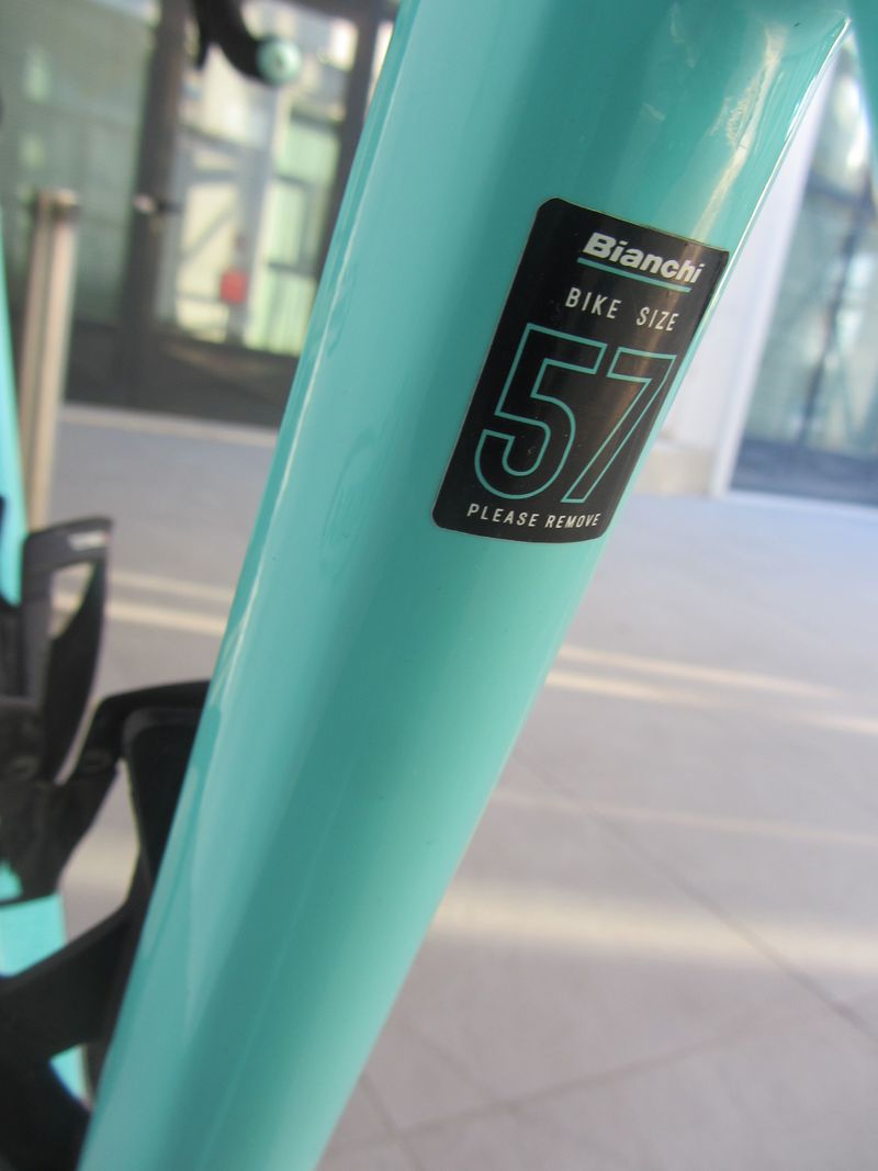 Used Bianchi Sprint Disc Frameset 2022 Road & Gravel, Blue — image 4 of 8