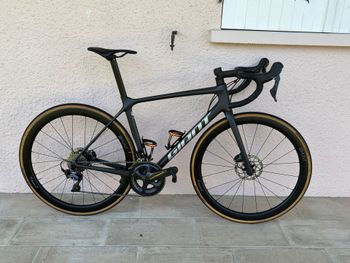 Giant, TCR Advanced 1 Disc 2021