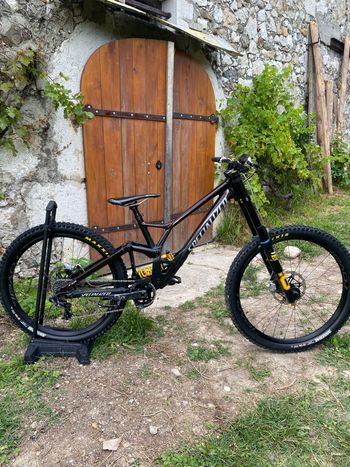 Specialized, Demo Race 2023