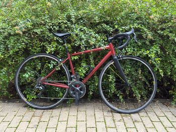 Van Nicholas, Yukon Di2 Ultegra 2x11 Rim Brakes