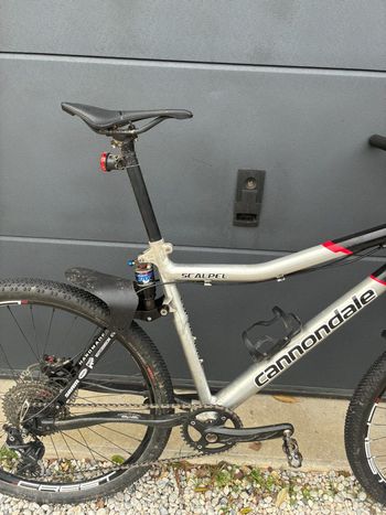 Used Cannondale Cannondale Scalpel Team 2026 Road & Gravel, Black — image 4 of 8