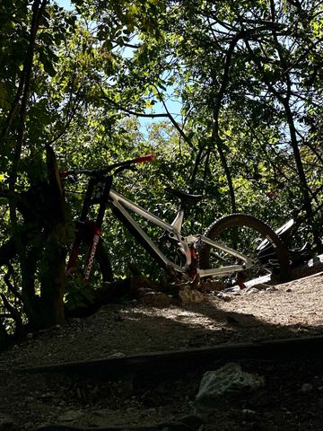 Used Rose Scrub DC 3 2025 2025 Mountainbike, Light Gray, 29 — image 2 of 4