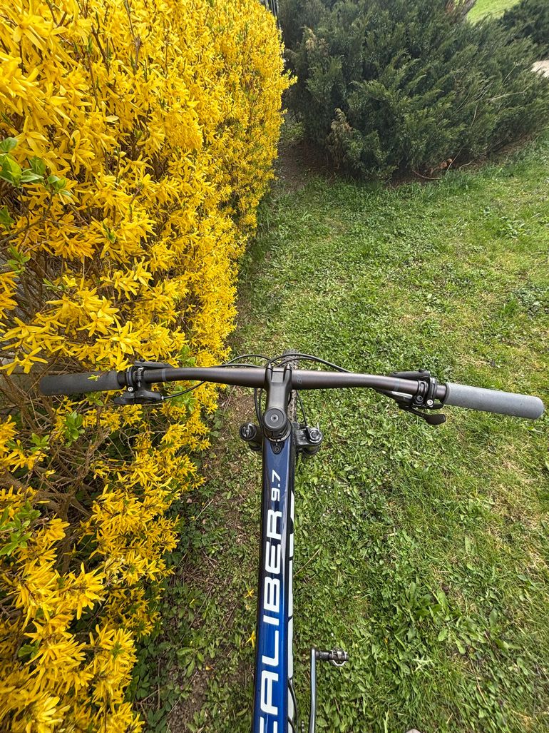 Used Trek Procaliber 9.7 2022 2022 Mountainbike, Blue, 29 — image 6 of 9
