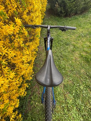 Used Trek Procaliber 9.7 2022 2022 Mountainbike, Blue, 29 — image 7 of 9
