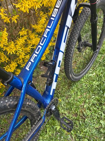 Used Trek Procaliber 9.7 2022 2022 Mountainbike, Blue, 29 — image 3 of 7