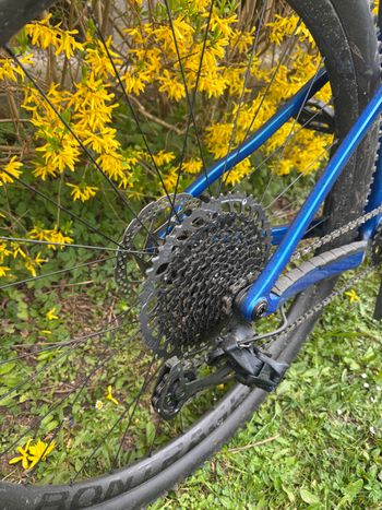 Used Trek Procaliber 9.7 2022 2022 Mountainbike, Blue, 29 — image 2 of 7