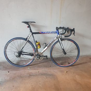 Wilier, Cento10pro Campagnolo Record