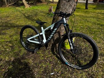 Canyon, Neuron CF 8 WMN 2023