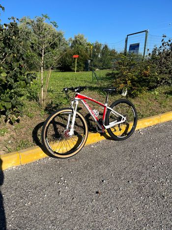 Used AEROTEC AEROTEC Custom SRAM X9 2017 Mountainbike — image 2 of 11