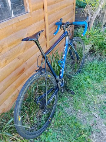 Used Orbea Orbea ORCA Dura-Ace Di2 2017 Road & Gravel, Azul — image 6 of 15