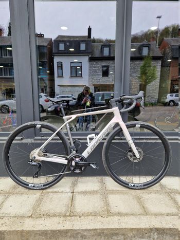 Lapierre, Pulsium 6.0 2025