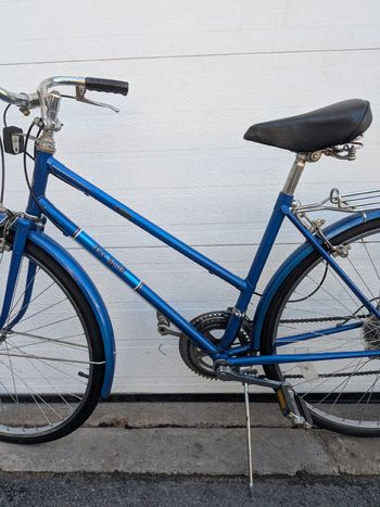 Used Free spirit Free spirit Custom Other 1987 Road & Gravel, Blue — image 3 of 18