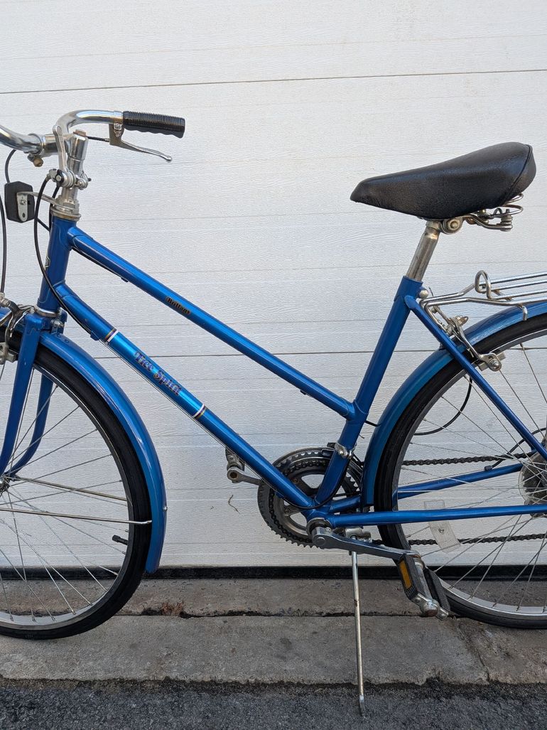 Used Free spirit Free spirit Custom Other 1987 Road & Gravel, Blue — image 3 of 18