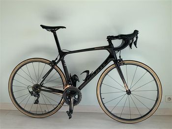 Giant, TCR Advanced Pro 1 2019