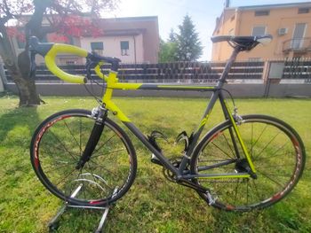 dario pegoretti, Dario pegoretti Custom Campagnolo Chorus