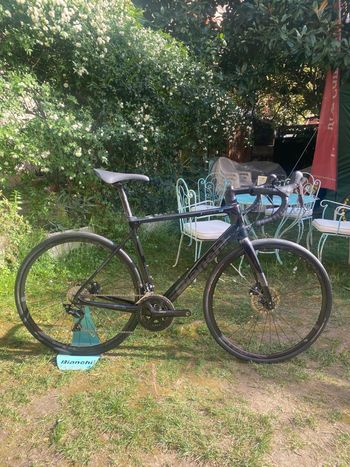 Bianchi, Infinito XE 105 2023