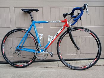 Pinarello, Surprise